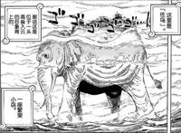 《海贼王》这个被大家忽略的王者，一击秒杀10亿海贼！