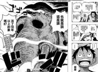 《海贼王》这个被大家忽略的王者，一击秒杀10亿海贼！