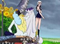 海贼王：罗宾挑男友，候选人有三个，最合适的不是索隆