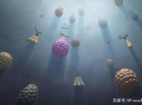 海贼王：海军实力强于海贼，除了数不尽的果实，海军还有另一手