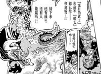 海贼王1014话：路飞落海身亡？罗：海里有我的潜水艇