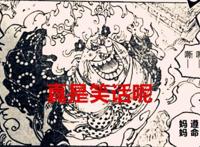海贼王1038话：首位四皇落败，三船长的友谊情比金坚，乔巴要觉醒