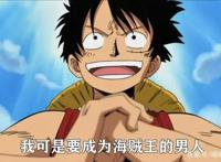 海贼王：看了快一千集海贼王，你认为谁会成为海贼王？可能是她