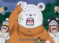 《海贼王》官宣10位“皇副”角色，索隆入选很合理，贝波是什么鬼