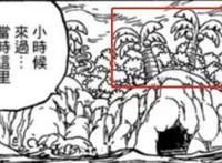 「超细节」全网最细，千字梳理海贼王1062话的全部细节