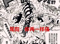 海贼王1022话：尾田早已设定山治和索隆是三灾等级，网友不服而已