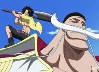 海贼王：科普十个海贼王中的小知识