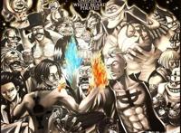 海贼王旧时代强者