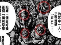 海贼王，最强的十个海贼团，有没有你想上的船