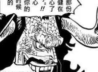 海贼王1046话漫画：雷藏