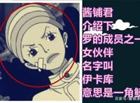 海贼王1015话，强巴鲁与伊卡库救下海中的路飞，罗的援军登场