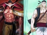 海贼王----洛克斯海贼团