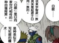 岸本曾为白眼埋下伏笔，比血轮眼还要强势，日向天忍指的是他？