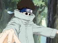 毫无败绩的火影十二小强，爱玩虫子的志乃！