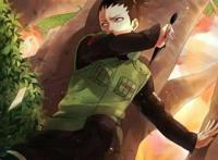 鹿丸，火影最爱忍者之一，内心装的是平平淡淡的人生！