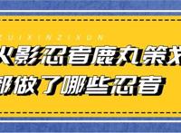 火影忍者鹿丸策划都做了什么忍者？