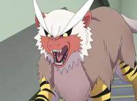 博人传开始原创CP，班长人设崩了，好不容易挽回的口碑又没了