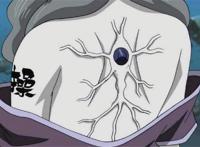 火影忍者中露出脊背的5个忍者：叶仓这么好看的背，不拔罐可惜了