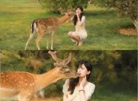 终于定啦！钟祥首座鹿岛公园10月1日起盛大迎客！