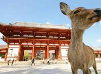 疫情下日本旅游业：我们意识到我们太依赖中国顾客了