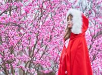 花星球新春鹿岛游园会盛大开园！全国女士门票免费送