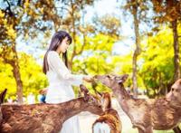 花星球新春鹿岛游园会盛大开园！全国女士门票免费送