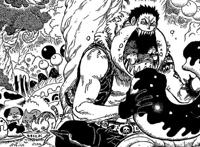 海贼王1005话：罗宾新形象曝光，梅花披风似女侠，高挑身材零差评