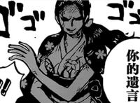 海贼王1005话：罗宾新形象曝光，梅花披风似女侠，高挑身材零差评