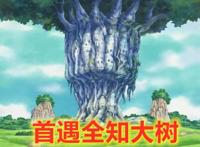 海贼王之少年罗宾：恶魔果实和历史正文？罗宾有了调查妈妈的线索