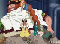 海贼王：索隆罗宾你们招了吧，偷偷摸摸的你俩干什么呢？