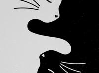 动漫插画壁纸（竖屏壁纸）丨孤独是我的花园