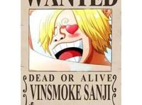 关于《海贼王》角色介绍，你最喜欢海贼王里的谁？