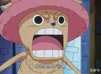 海贼王886集先行：白星遭天龙人霸凌，谁来搭救都不够格除非是他