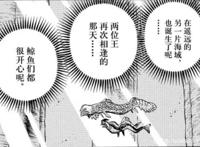 海贼王脑洞：白星与艾尼路、诺亚与箴言。两艘方舟、两位王的相遇
