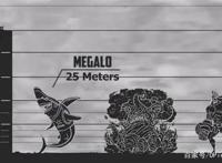 海贼王中难以想象的罕见巨大生命体，白星公主比梅丽号都大