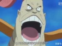 海贼王：白星，鲨星，皇星，翻车星，胆小星，你喜欢哪颗星？