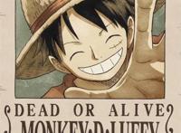 来看看草帽海贼团各人悬赏金都变多高了！