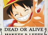 来看看草帽海贼团各人悬赏金都变多高了！