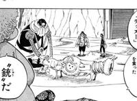 海贼王35颗动物系恶魔果实！三段变身怕不怕！毛皮族：是在下输了