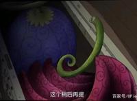 海贼王中已经公布样貌的15颗恶魔果实，其中3颗神级果实