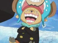 海贼王：变身后威严尽失的动物系强者，两人互相嘲笑、一人被躺枪