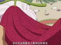 海贼王：5人命运迥异，赌赢了就是神级果实，赌输了就是鸡肋果实