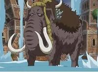 海贼王：可当做武器的五个鼻子，一个价值超十亿、一个十分欠抽