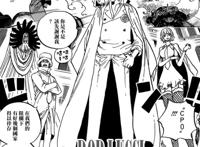 海贼王长脖怪：卡库VS奎因，长颈鹿和腕龙打起来，你更看好谁？