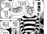 海贼王剧情特有的BUG，可以让反派再登巅峰的扉页故事！