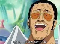 海贼王中有哪些让你觉得不能接受的设定？是不是和我想的差不多！