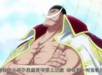海贼王：五位被“遗弃”的孩子，三位成为四皇，两位潜力股