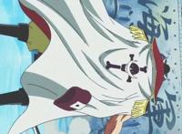 海贼王人物介绍白胡子篇