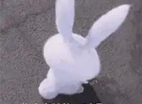 某宝同款？鹰眼和年轻的雷利穿的着装很像，难道……