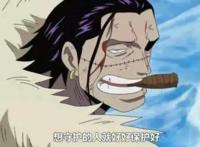 海贼王，在新世界你脸上要是没道疤，真不好意思说是出来混的！